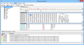 Reko Decompiler screenshot 6