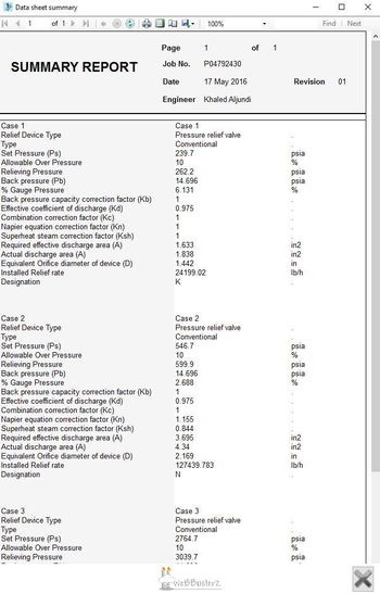 Relief Valve Sizing Calculator screenshot 2