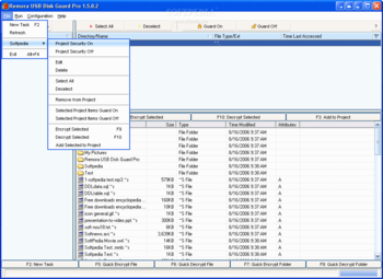 Remora USB Disk Guard Pro screenshot 3