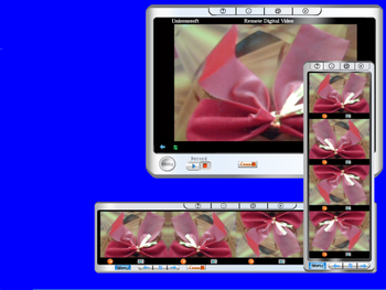 Remote Digital Video screenshot