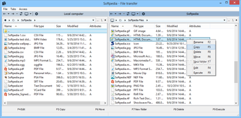 Remote Utilities - Viewer screenshot 5