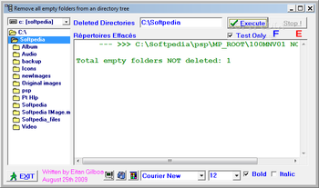 Remove all empty folder from an directory tree screenshot