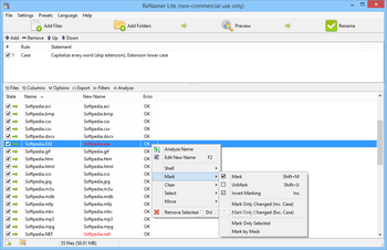ReNamer Lite screenshot 2