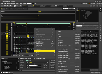 Renoise screenshot 5