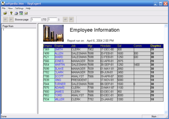 Repexpert Pro screenshot