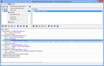 Replace Studio Business Edition screenshot 4