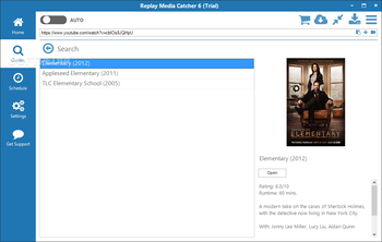Replay Media Catcher screenshot 12