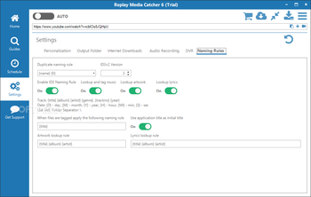 Replay Media Catcher screenshot 24