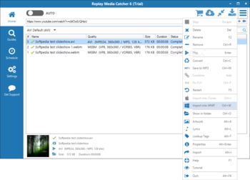 Replay Media Catcher screenshot 5