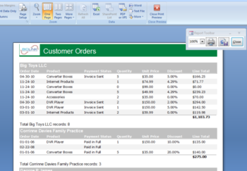 Report Builder for Microsoft Access 2007+ screenshot