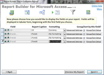 Report Builder for Microsoft Access screenshot 3