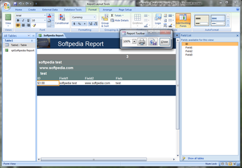 Report Builder for Microsoft Access screenshot 5