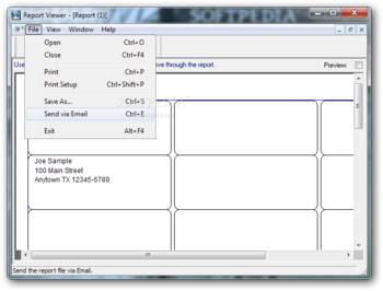 Report Viewer screenshot 2