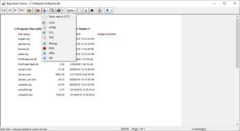 Reportizer Viewer screenshot 2