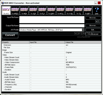 RER MKV Converter screenshot