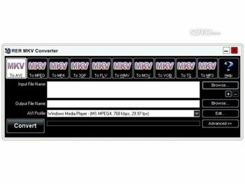 RER MKV Converter screenshot 2