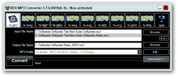 RER MP3 Converter screenshot