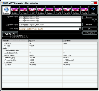 RER WAV Converter screenshot 2