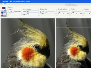 Reshade Image Resizer screenshot 2
