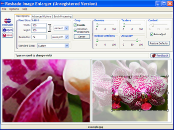 Reshade Image Resizer screenshot 3