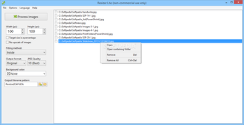 Resizer Lite screenshot