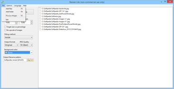 Resizer Lite screenshot 2
