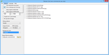 Resizer Lite screenshot 3