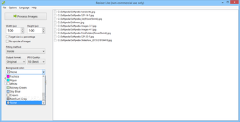 Resizer Lite screenshot 4