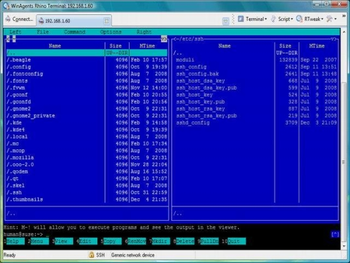 Rhino Terminal screenshot