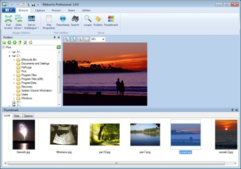 RibbonVu Image VIewer Professional screenshot