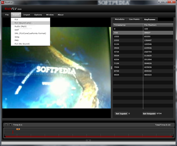 RichFLV screenshot 4