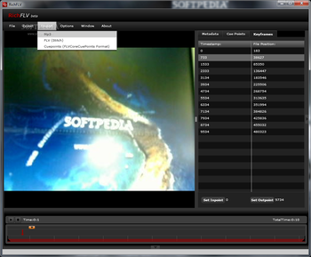 RichFLV screenshot 5