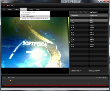 RichFLV screenshot 6