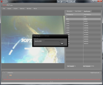 RichFLV screenshot 7