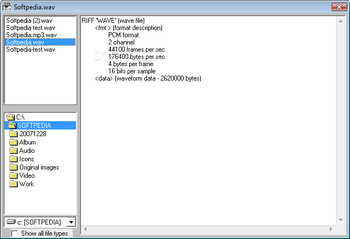 RIFF File Viewer screenshot