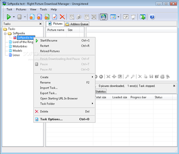 Right Picture Download Manager screenshot