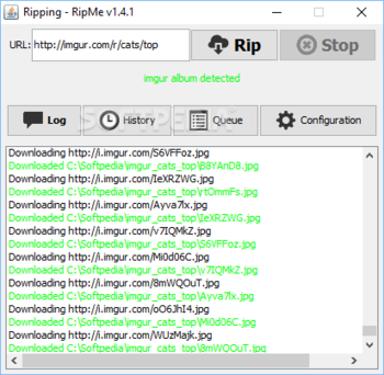 RipMe screenshot 2