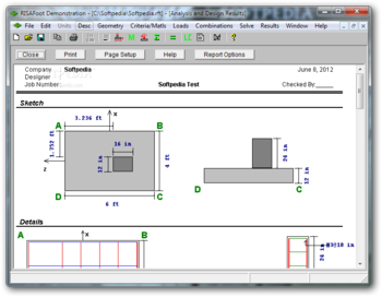 RISAFoot screenshot 4