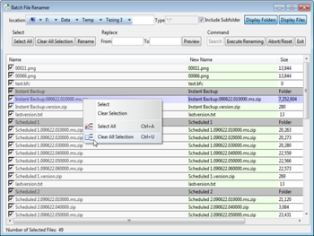 Risingware Batch Renamer screenshot