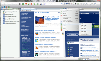 Risingware Browser screenshot 12