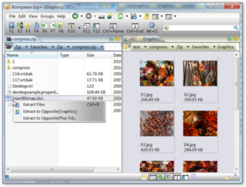 Risingware File Manager screenshot