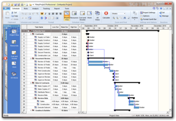 RiskyProject Professional screenshot