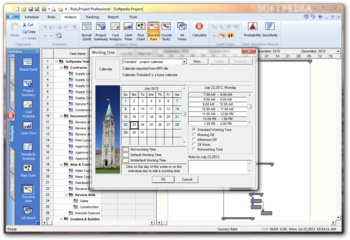 RiskyProject Professional screenshot 4