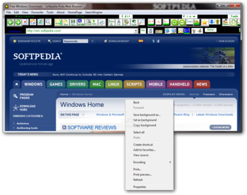 Rista Web Browser screenshot 2
