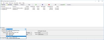 River Past Audio Converter Pro screenshot 2