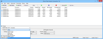 River Past Audio Converter screenshot 2