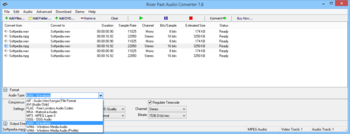 River Past Audio Converter screenshot 3