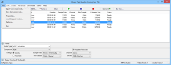 River Past Audio Converter screenshot 5