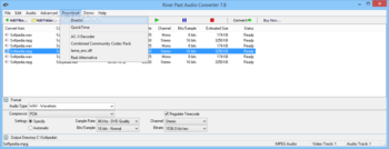 River Past Audio Converter screenshot 9