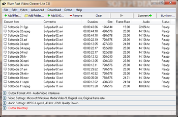 River Past Video Cleaner Lite screenshot